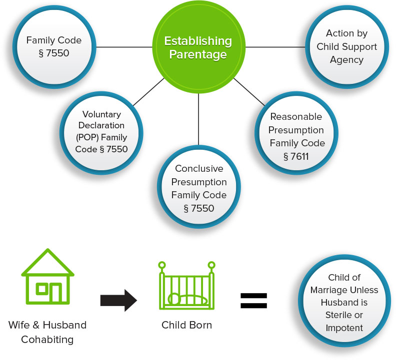 Infographic about Parentage Litigation (Paternity)