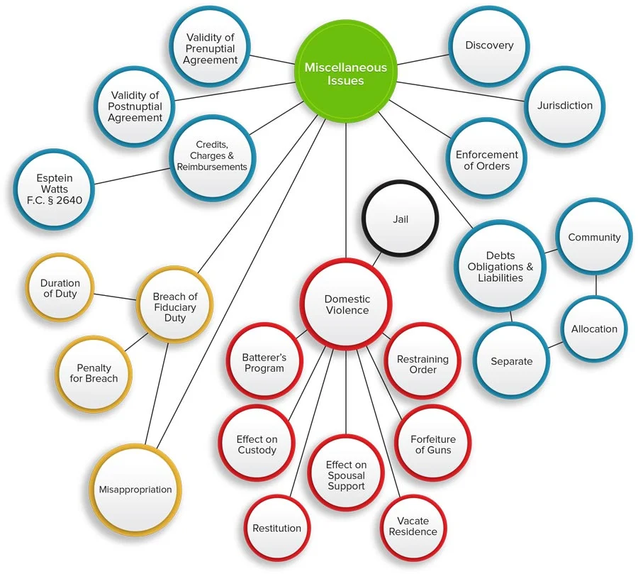 Infographic about Family Law Interconnectivity Overview with regards to Miscellaneous Issues